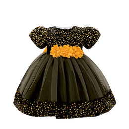 Embellished Applique Net Balloon Dress