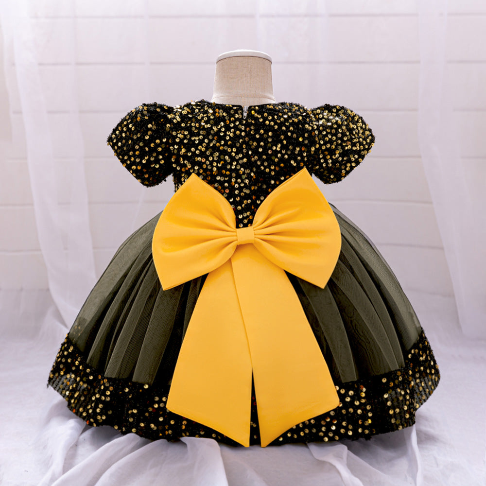 Embellished Applique Net Balloon Dress
