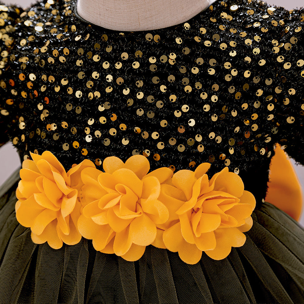 Embellished Applique Net Balloon Dress