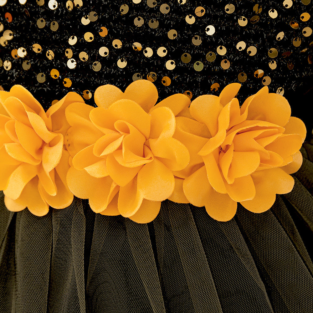 Embellished Applique Net Balloon Dress
