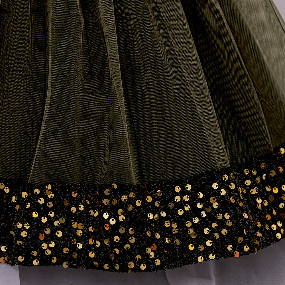 Embellished Applique Net Balloon Dress