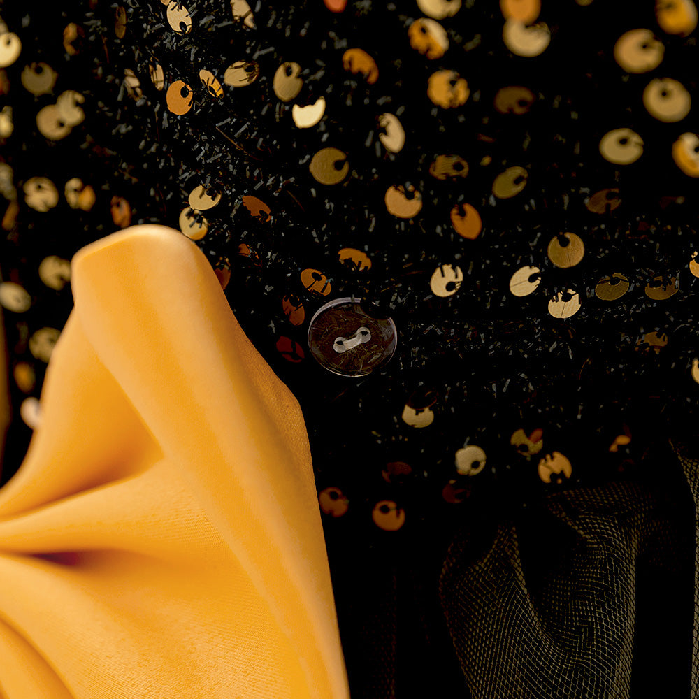 Embellished Applique Net Balloon Dress