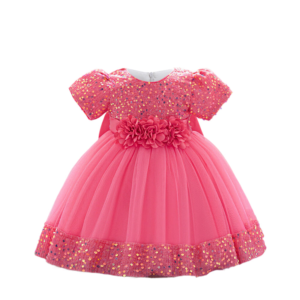 Girls Embellished Applique Net Balloon Dress