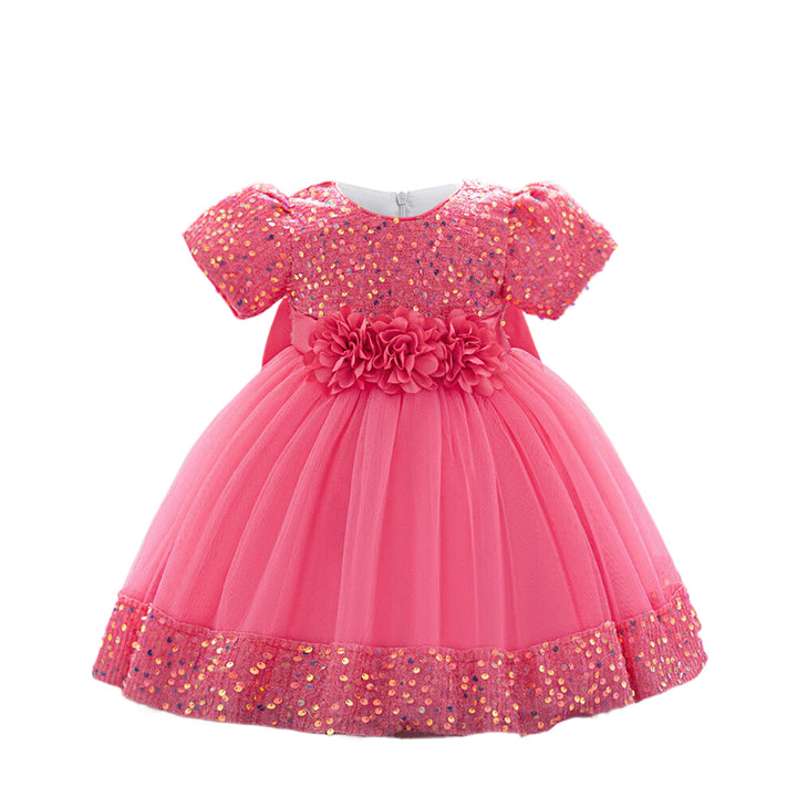 Girls Embellished Applique Net Balloon Dress