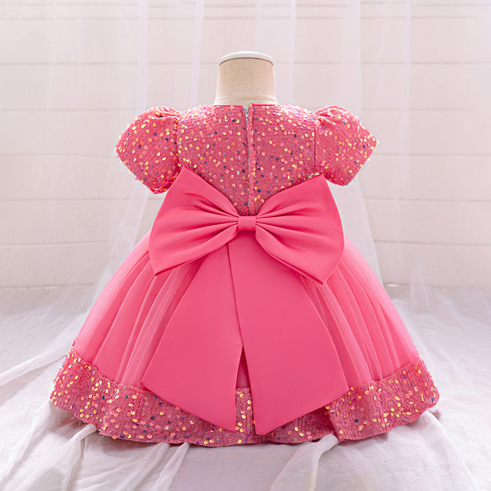 Girls Embellished Applique Net Balloon Dress