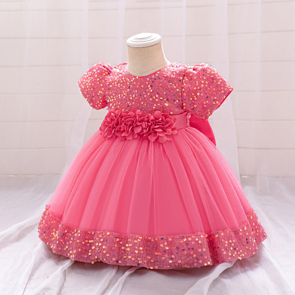 Girls Embellished Applique Net Balloon Dress