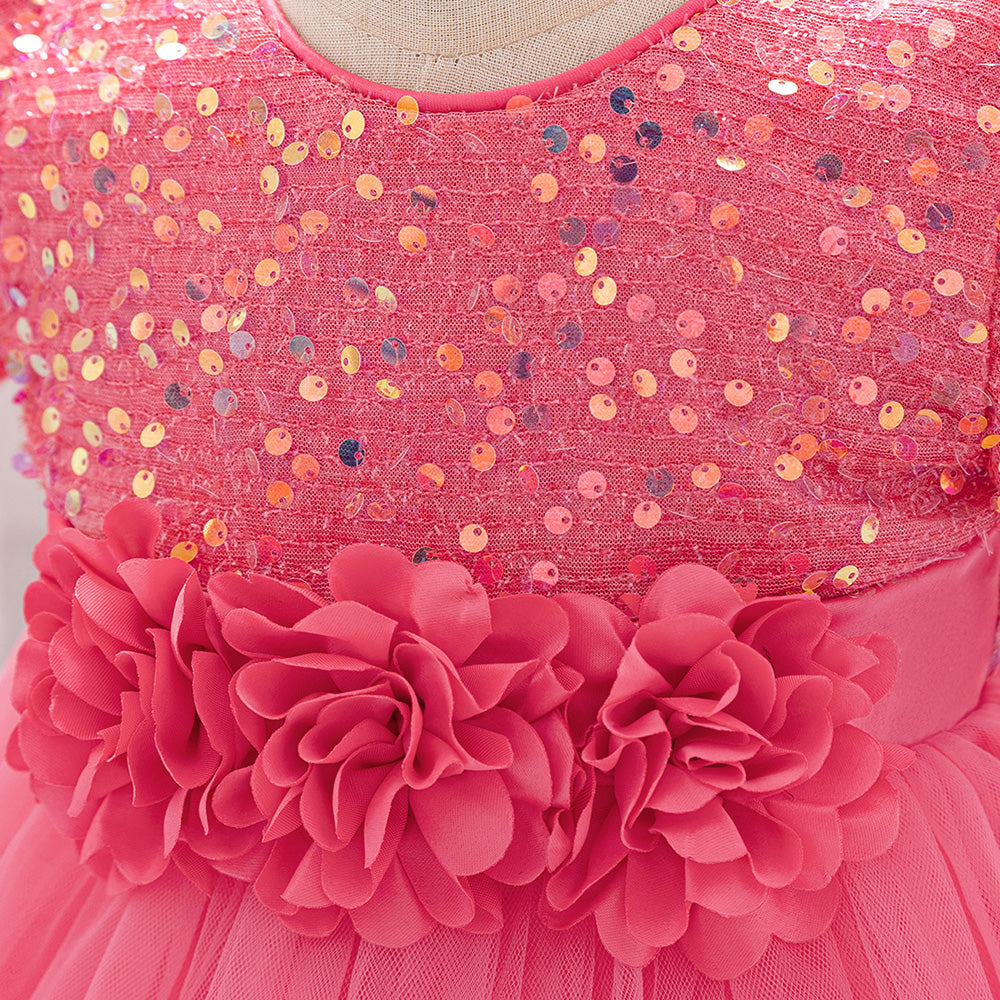 Girls Embellished Applique Net Balloon Dress