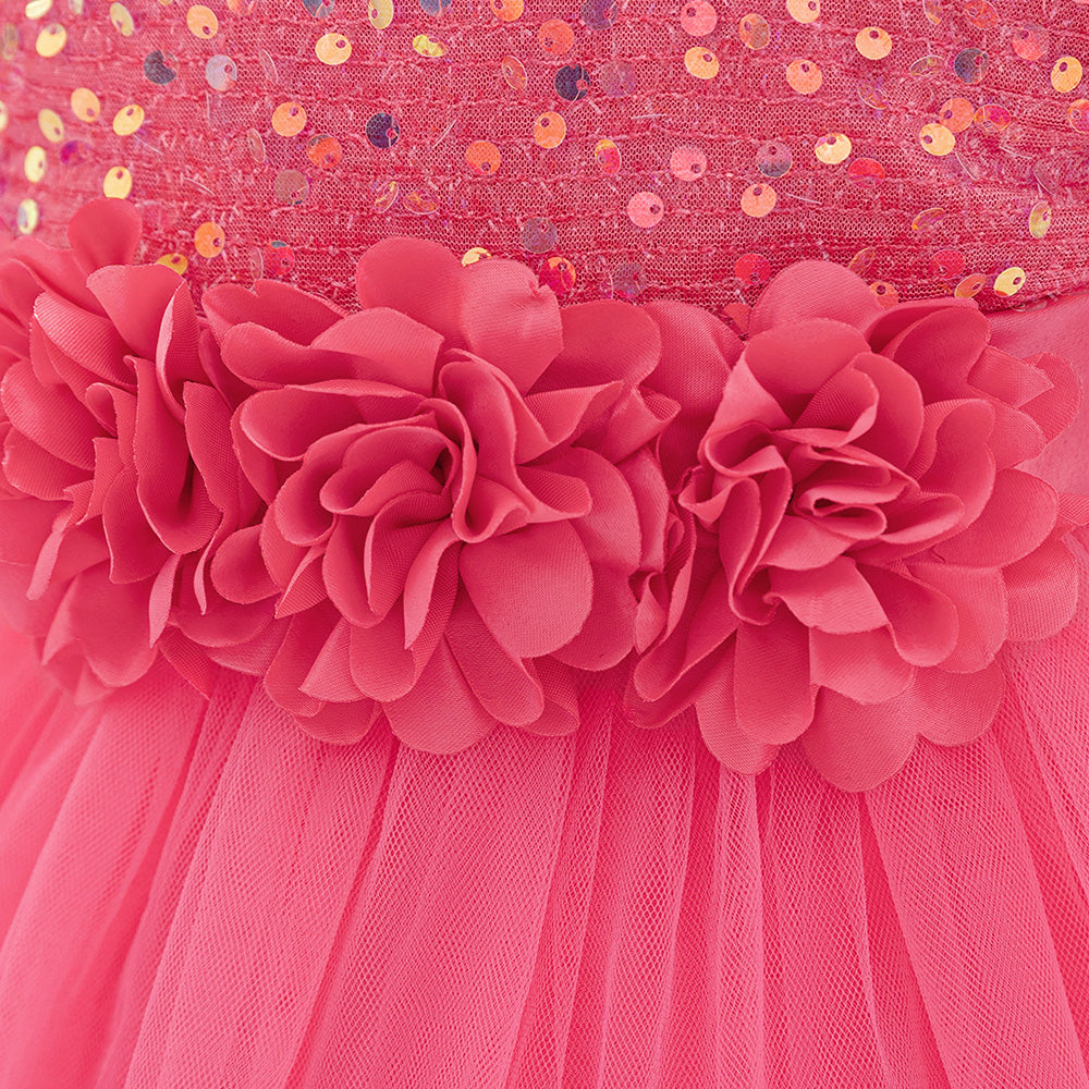 Girls Embellished Applique Net Balloon Dress