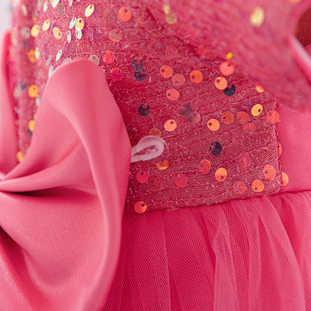 Girls Embellished Applique Net Balloon Dress