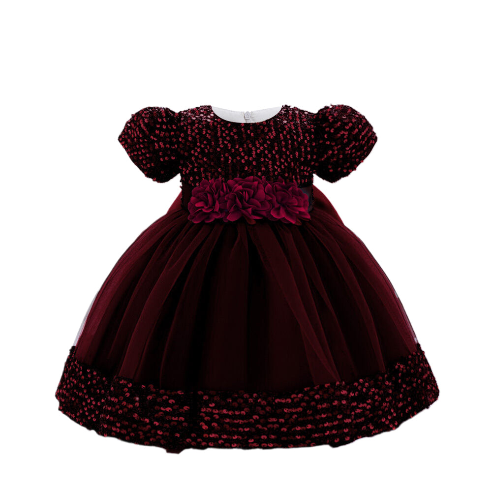 Girls Embellished Applique Balloon Dress