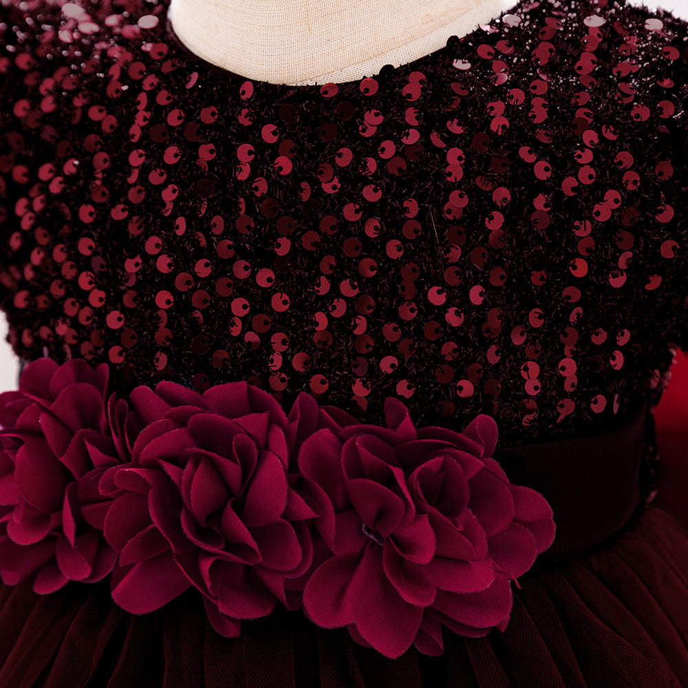 Girls Embellished Applique Balloon Dress