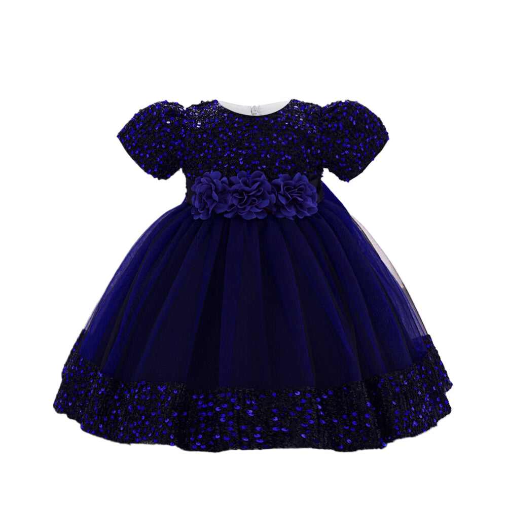 Embellished Applique Net Balloon Dress