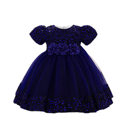 Embellished Applique Net Balloon Dress