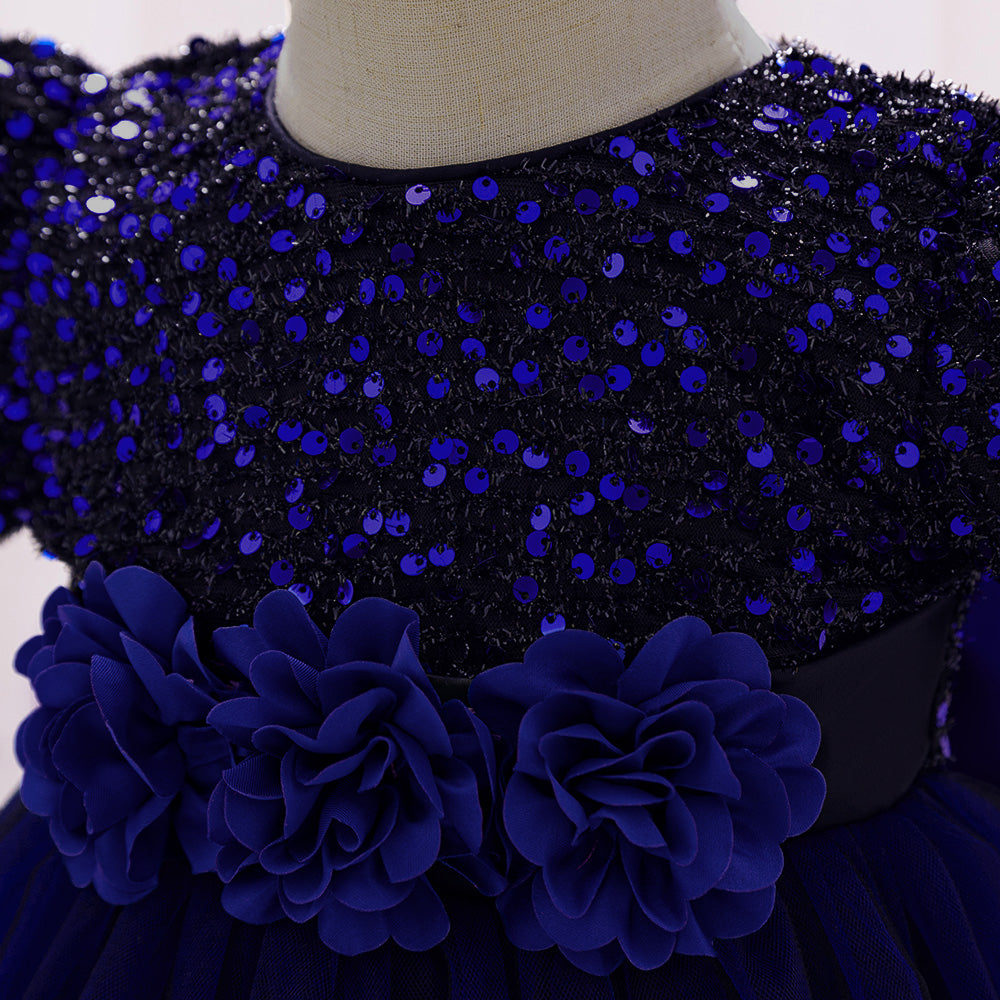 Embellished Applique Net Balloon Dress