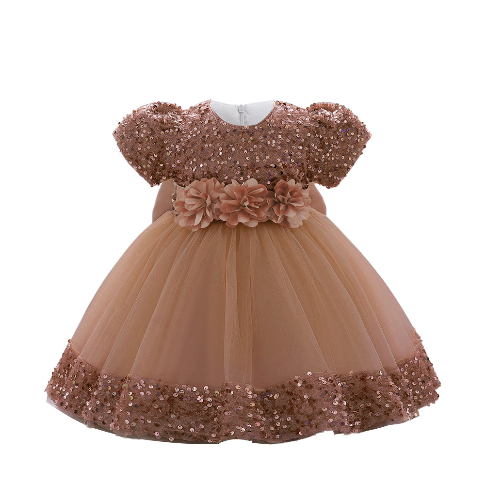 Embellished Applique Net Balloon Dress