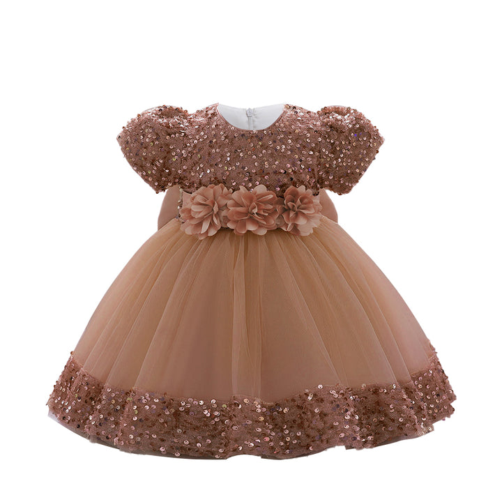 Embellished Applique Net Balloon Dress