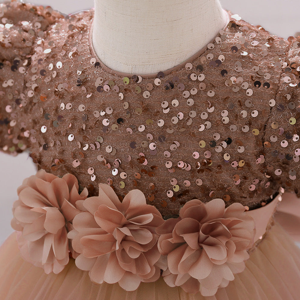 Embellished Applique Net Balloon Dress