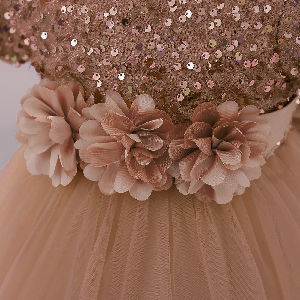 Embellished Applique Net Balloon Dress