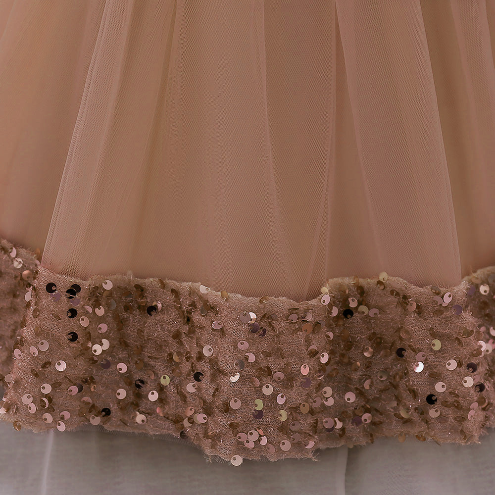 Embellished Applique Net Balloon Dress