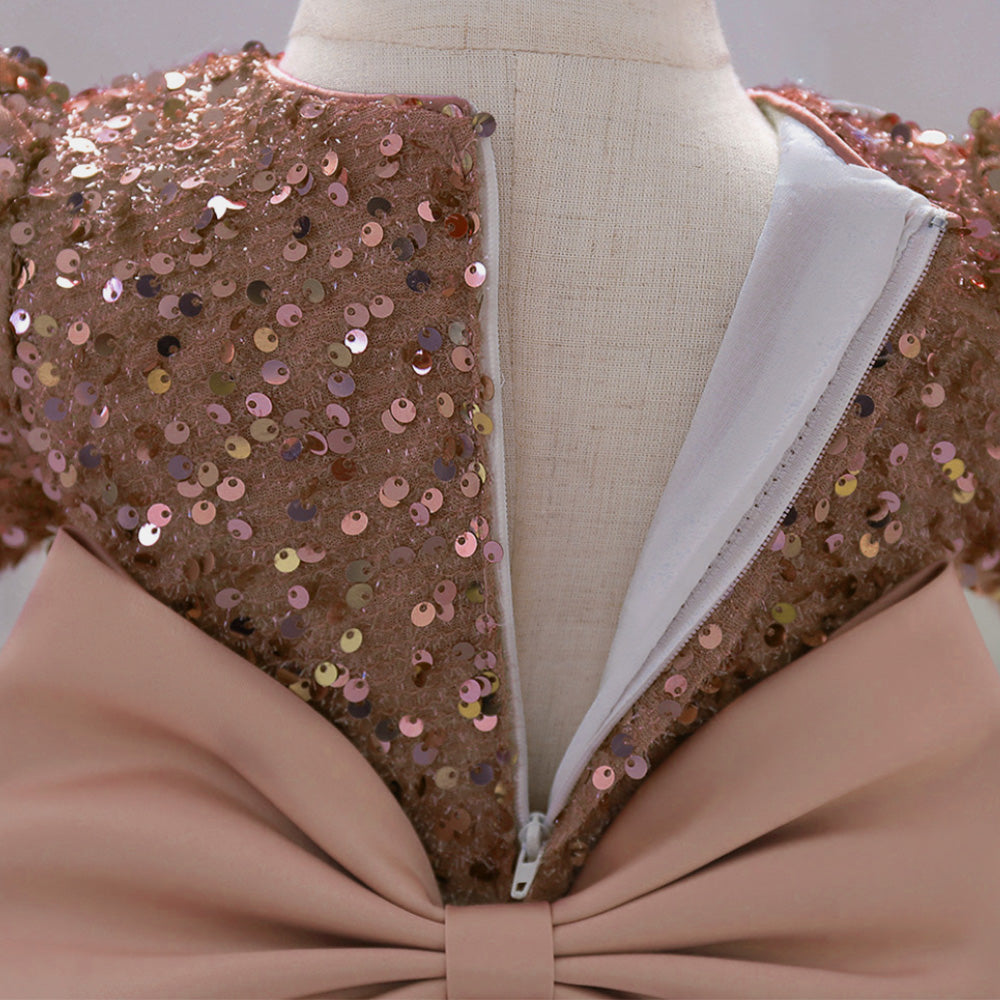 Embellished Applique Net Balloon Dress