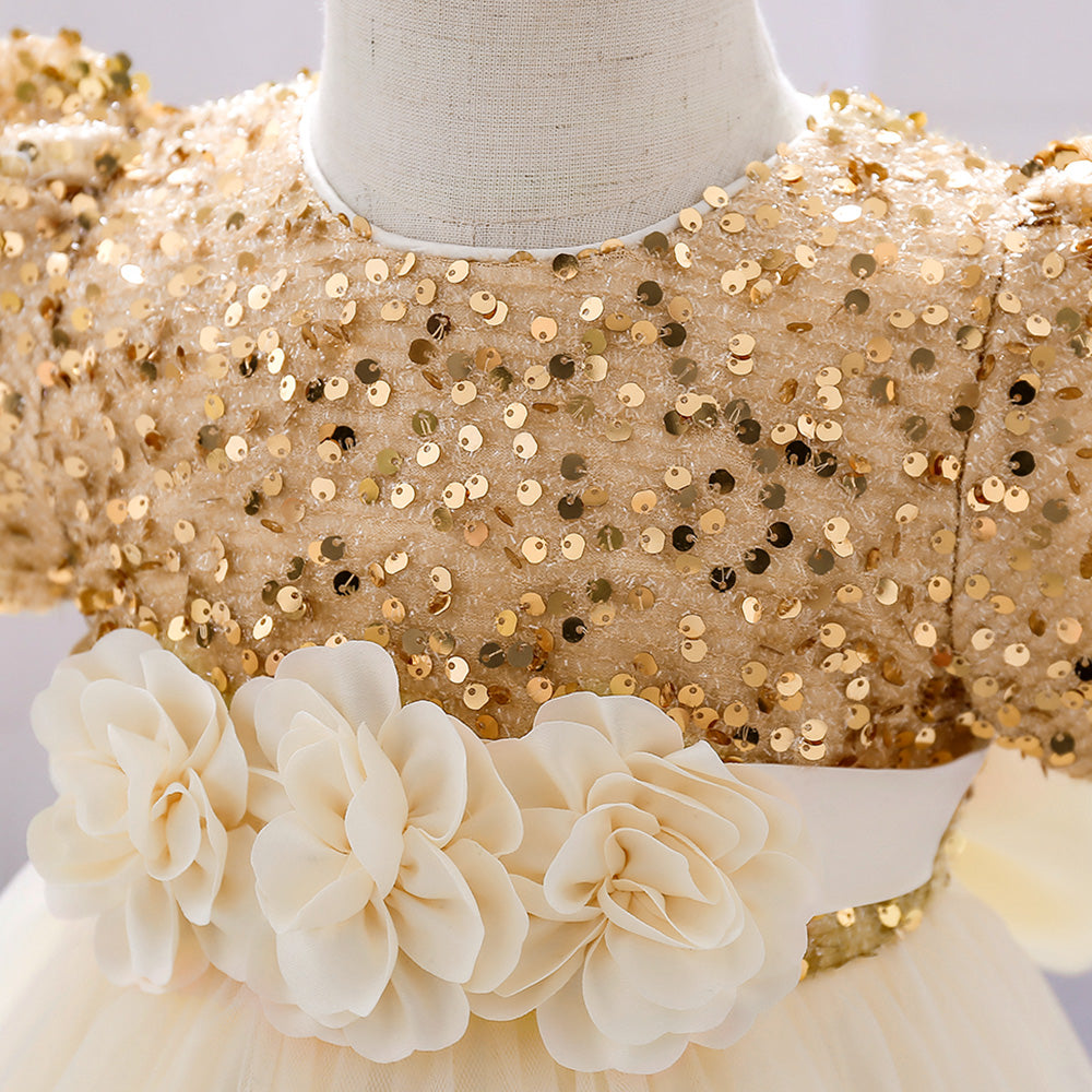 Girls Embellished Applique Balloon Dress