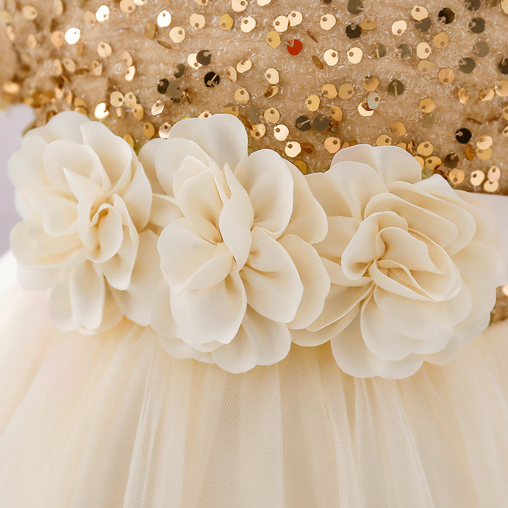 Girls Embellished Applique Balloon Dress