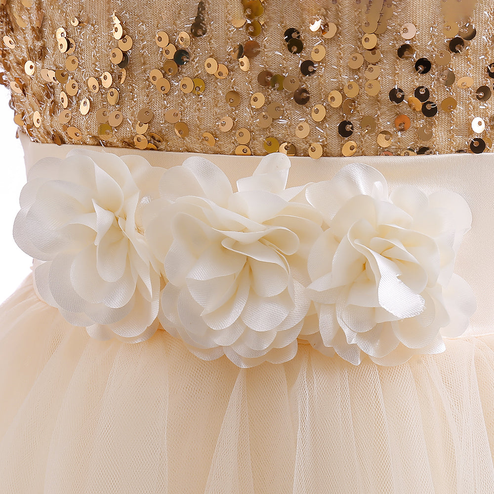 Embellished Applique Fit & Flare Maxi Dress