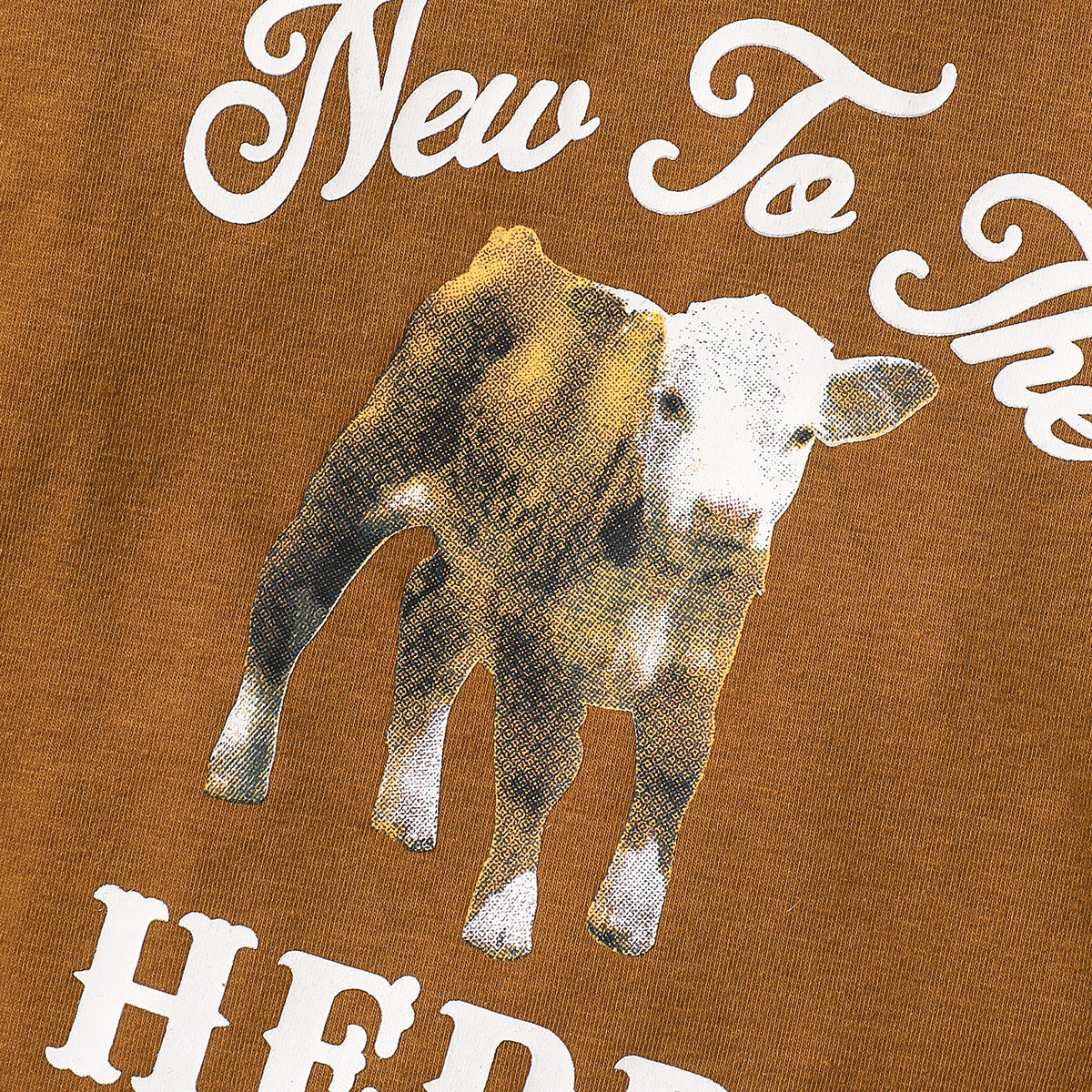 Brown Infant Boys Cow Printed Cotton Bodysuit