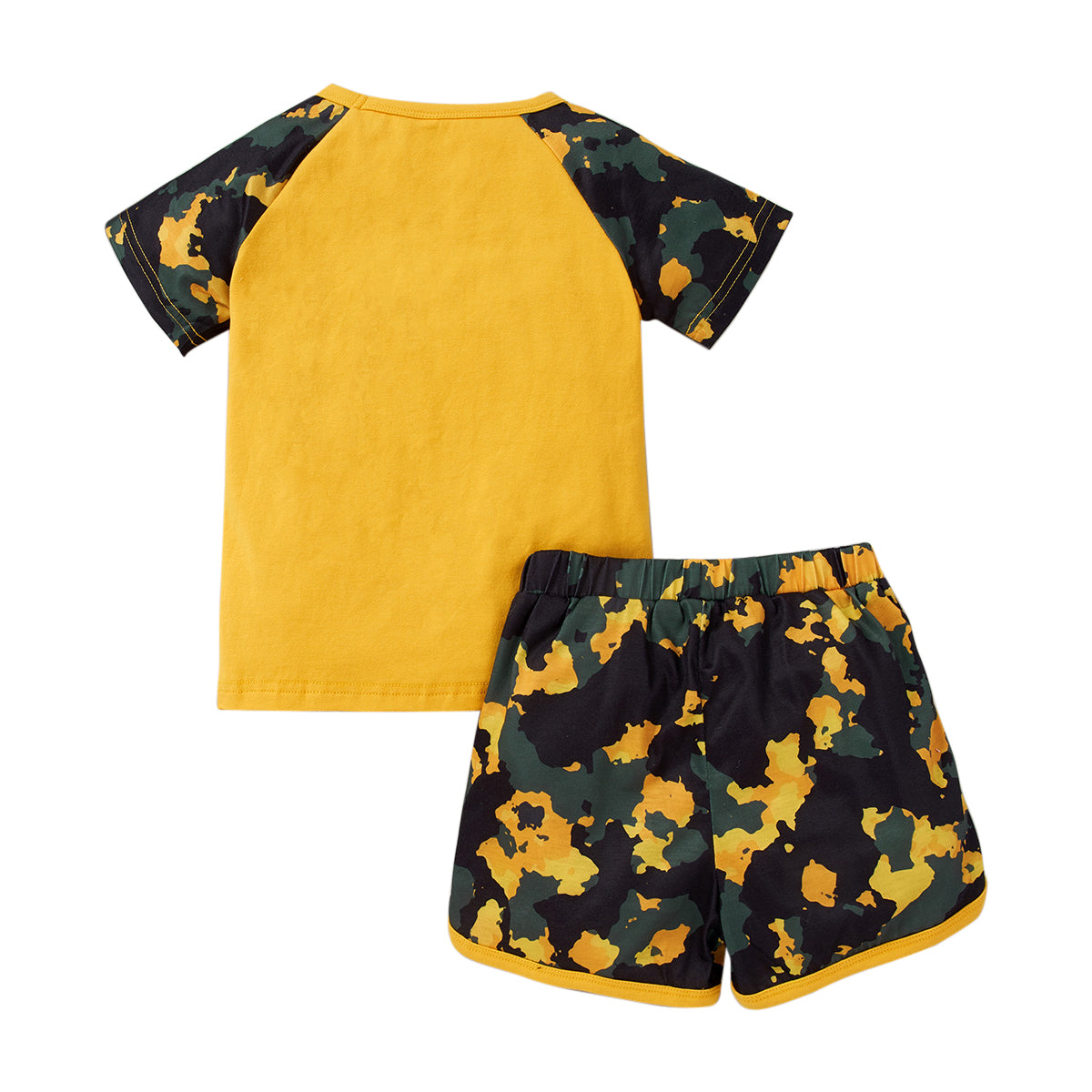Boys Printed T-shirt with Shorts