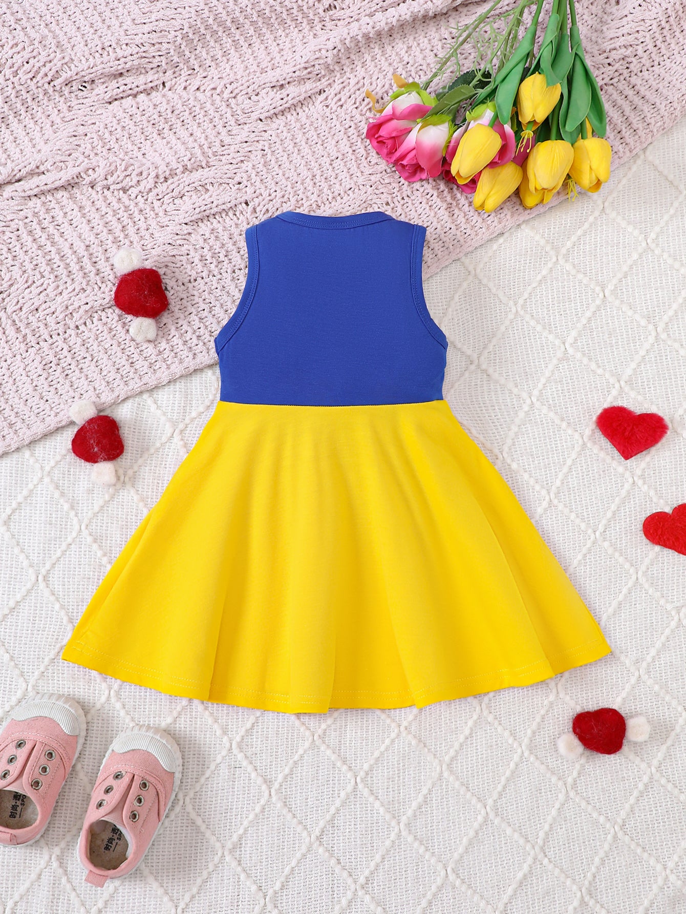 Colourblocked Fit & Flare Dress