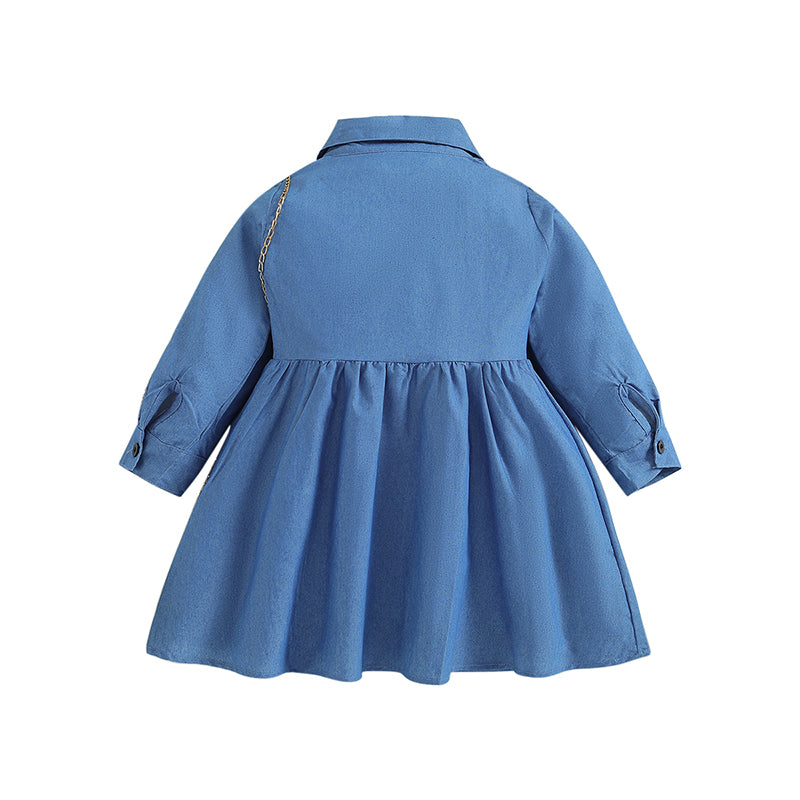 Shirt Collar Long Sleeves Fit & Flare Dress