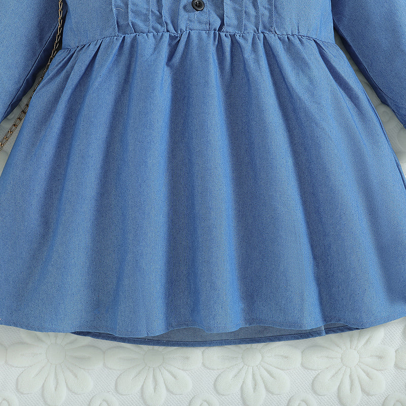 Shirt Collar Long Sleeves Fit & Flare Dress