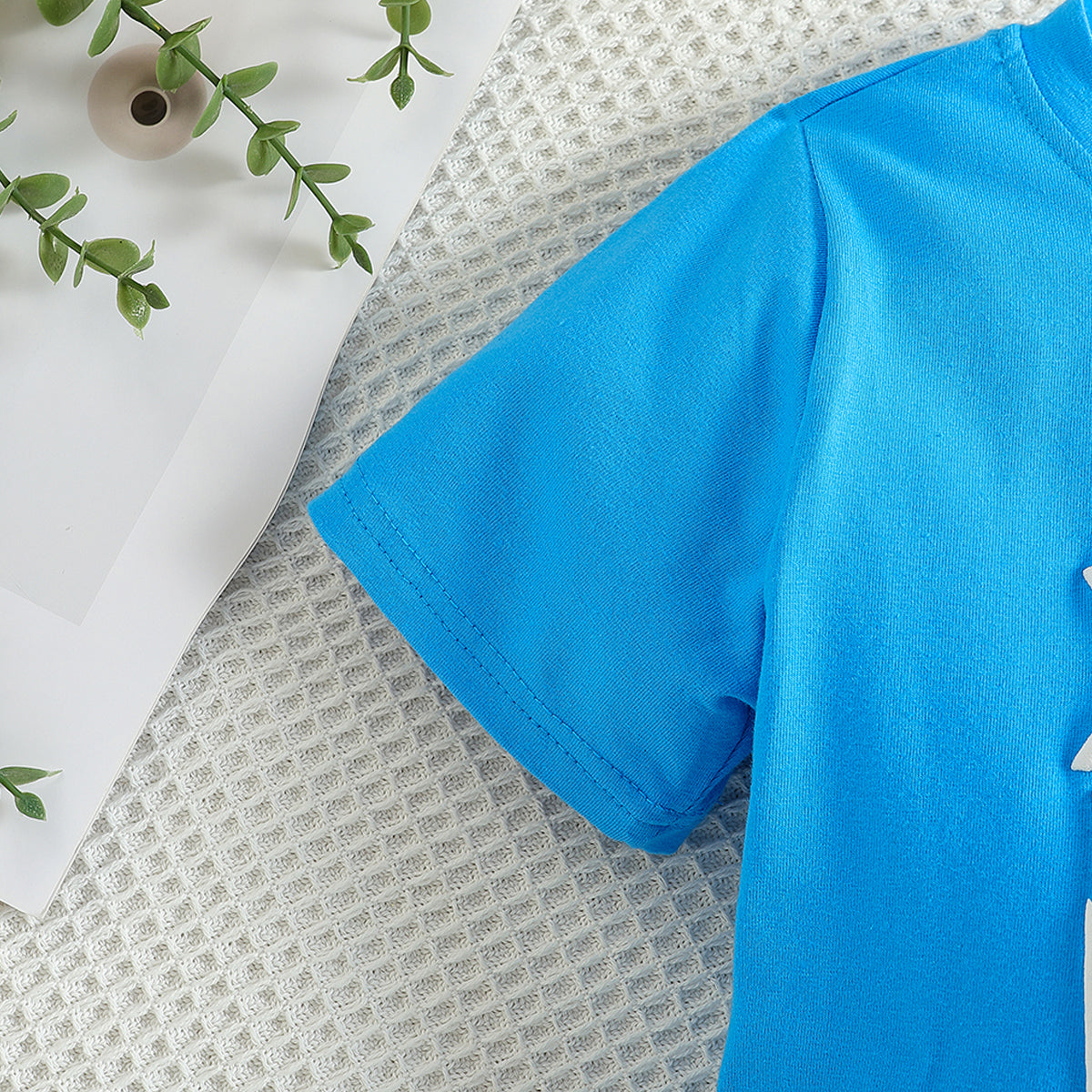 Boys Blue Printed T-shirt with Shorts