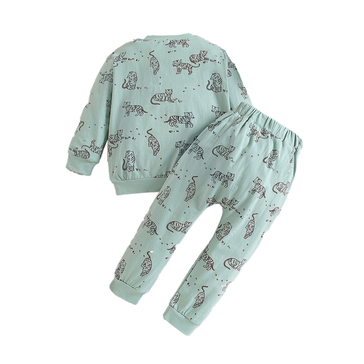 Boys Green Printed T-shirt With Trousers