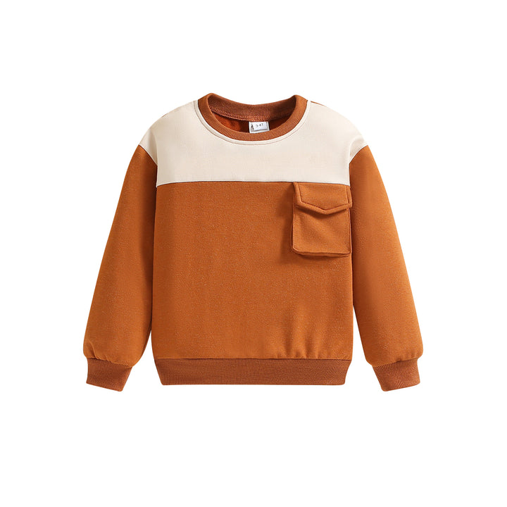 Boys Colourblocked Cotton Pullover Sweatshirt