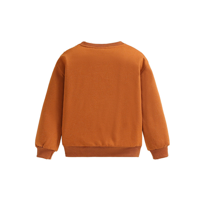 Boys Colourblocked Cotton Pullover Sweatshirt