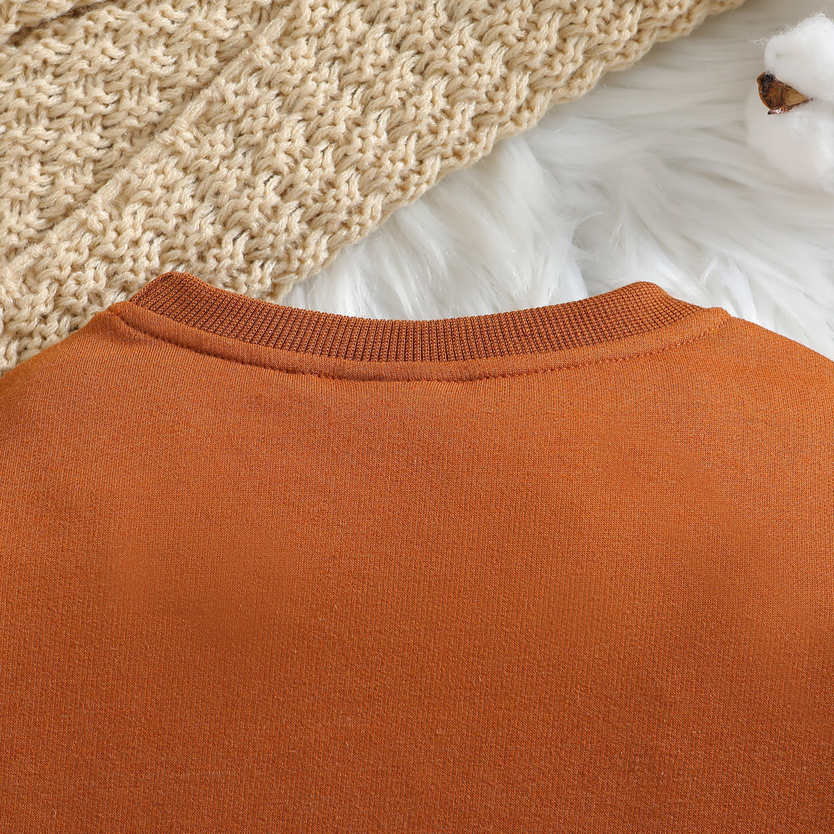 Boys Colourblocked Cotton Pullover Sweatshirt