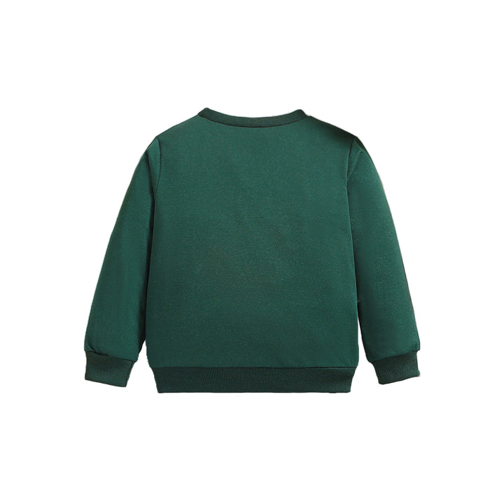 Boys Green Typography Printed Round Neck Pullover