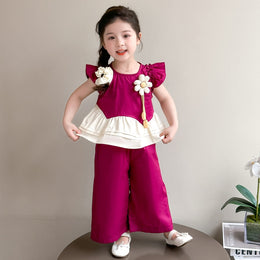 Girls Colourblocked Top With Palazzos