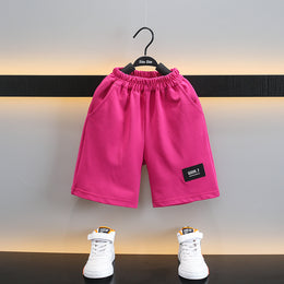 Boys Printed Short Sleeves Round Neck T-shirt with Shorts