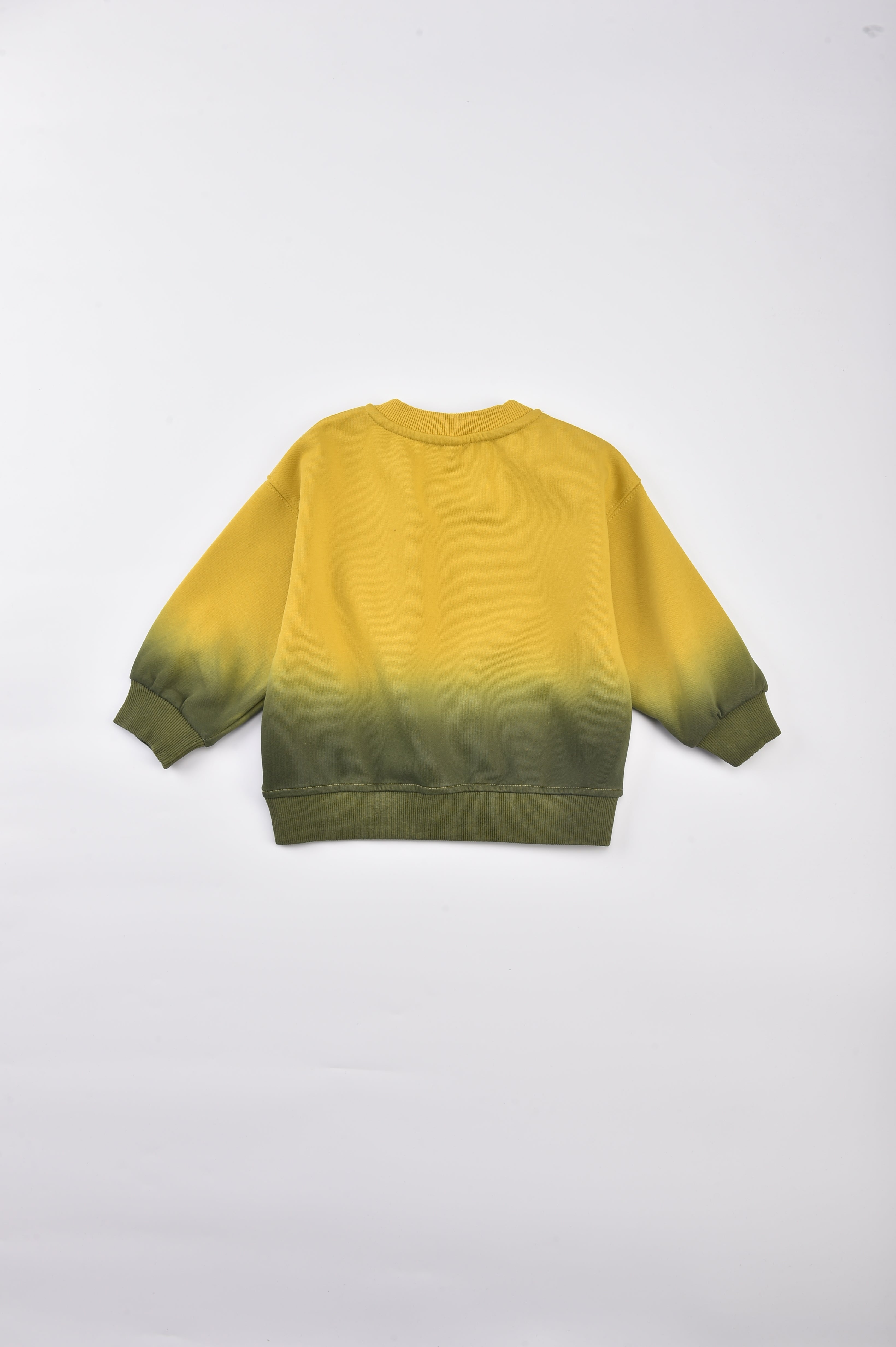 Boys Alphanumeric Colourblocked Cotton Straight Pullover Sweatshirt