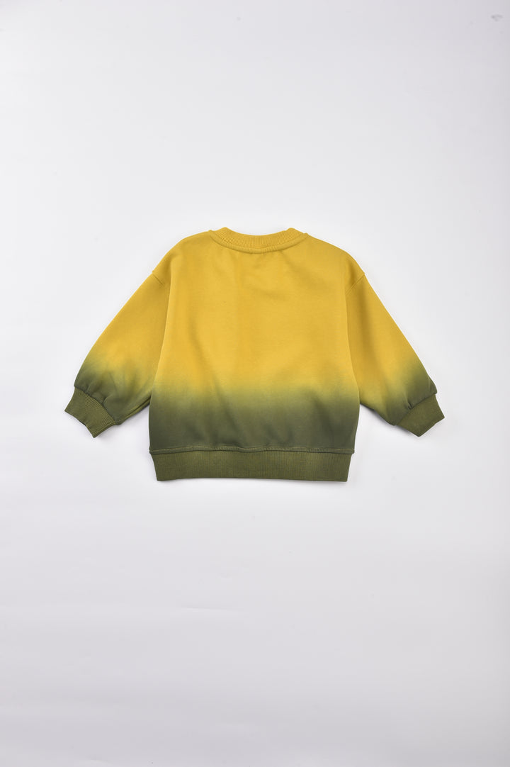 Boys Alphanumeric Colourblocked Cotton Straight Pullover Sweatshirt