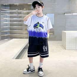 Boys Printed T-shirt with Shorts