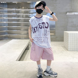 Boys Printed Short Sleeves T-shirt With Shorts