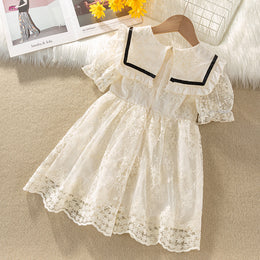 Embroidered Lace Fit & Flare Dress