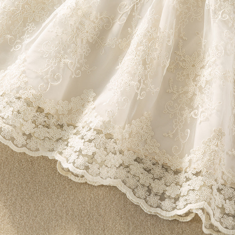 Embroidered Lace Fit & Flare Dress
