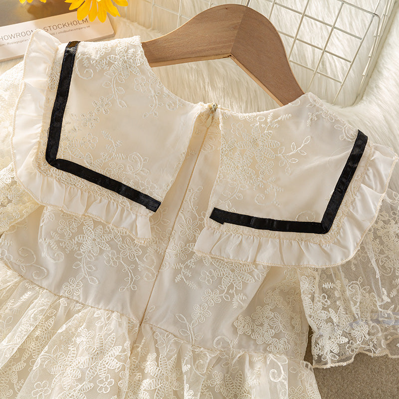 Embroidered Lace Fit & Flare Dress