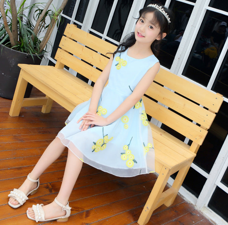 Girl Floral Print Sleeveless Knee Length Fit and Flare Dress