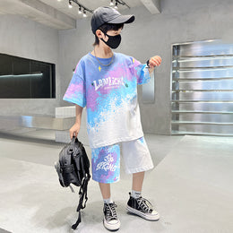 Boys Printed T-shirt With Shorts