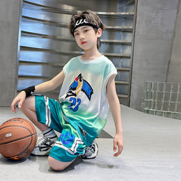 Boys Printed Round Neck Sleeveless T-shirt With Shorts